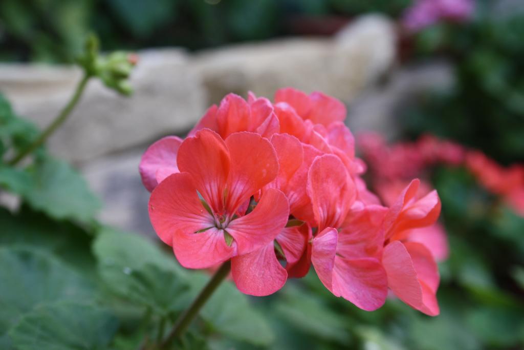 Kerkent Bed and Breakfast Agrigento Buitenkant foto